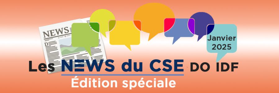 Les News du CSE : audit des comptes