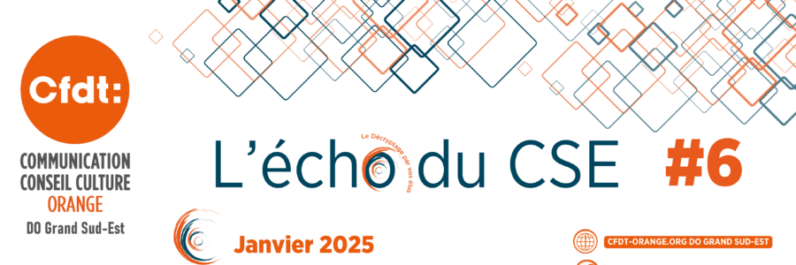 L&rsquo;ECHO DU CSE 6  DO Grand Sud-Est