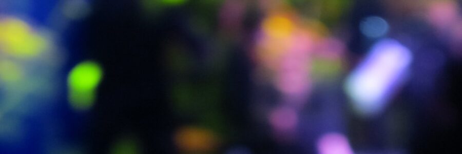 Prise de parole à l&rsquo;attention du Directeur Exécutif en charge de l’innovation, en CSE du 12 février 2025