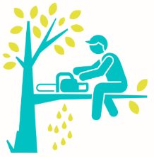 dessin
personne sciant la branche sur laquelle il est assis 