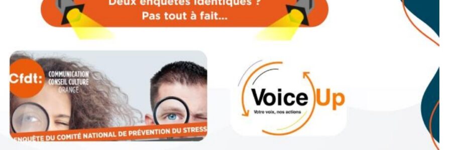 Sur Voice UP et son impact sur la rémunération : demande formelle en CSE