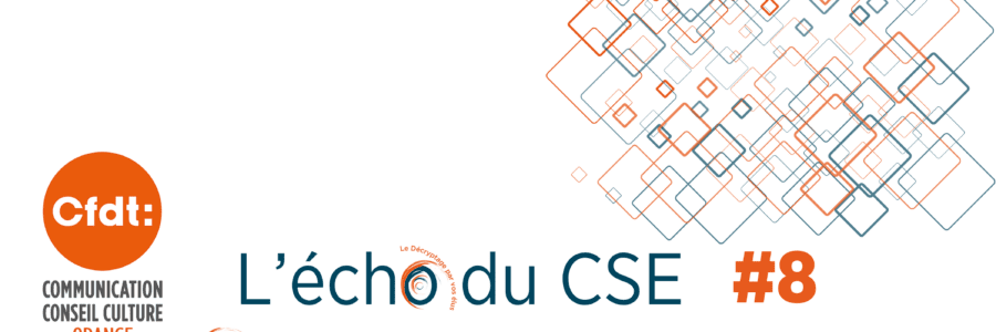 L&rsquo;ECHO DU CSE 8 DO Grand Sud Est
