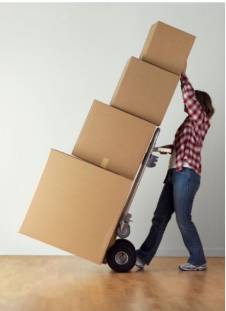 photo
personne poussant un chariot avec des cartons