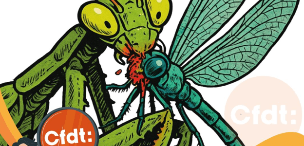 Boutique Orange Mai 2025 : Projet Libellule ou Mante Religieuse ?