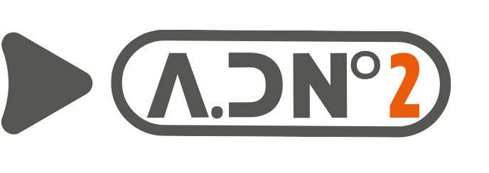 L'APRÈS-LIBELLULE INCERTITUDES PERSISTANTES TRACT n°2