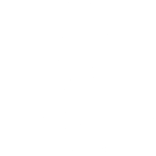 RÉORGANISATION ORANGE : PROJET REGAIN 1ER ROUND ! proximité terrain / efficacité opérationnelle 