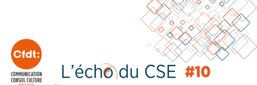 L&rsquo;ECHO DU CSE 10 DO Grand Sud Est