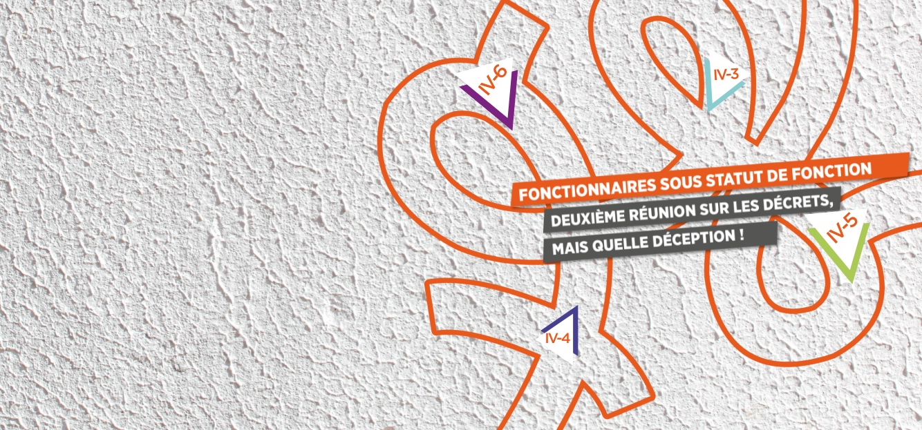 <strong>FONCTIONNAIRES SOUS STATUT DE FONCTION :</strong>